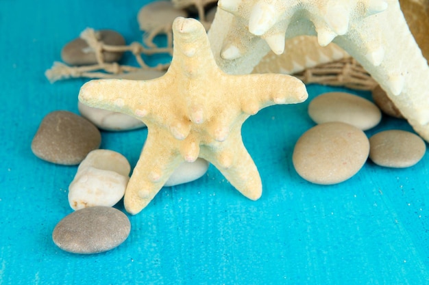 White starfishes on blue wooden table closeup