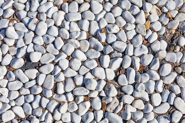 White stone background, stones - abstract background with round\
pebbles