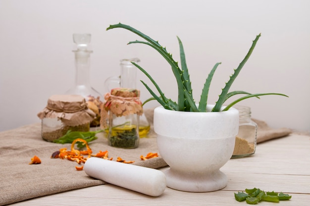 White stone mortar with aloe leaves