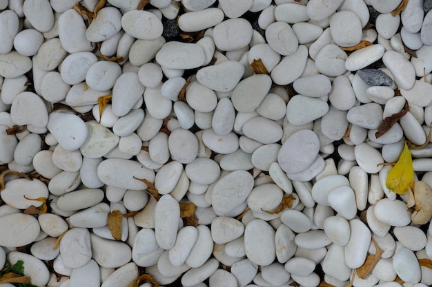 white stone pebbles in the garden Round white pebbles are commonly used in tropical and Japan