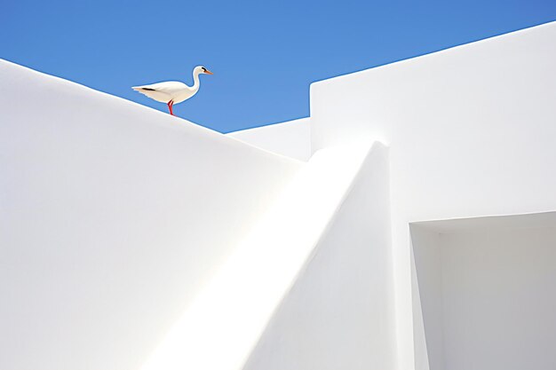 White stork on the roof of a modern building in Santorini