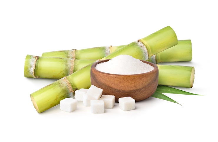 फोटो white sugar with fresh sugar cane on white background.