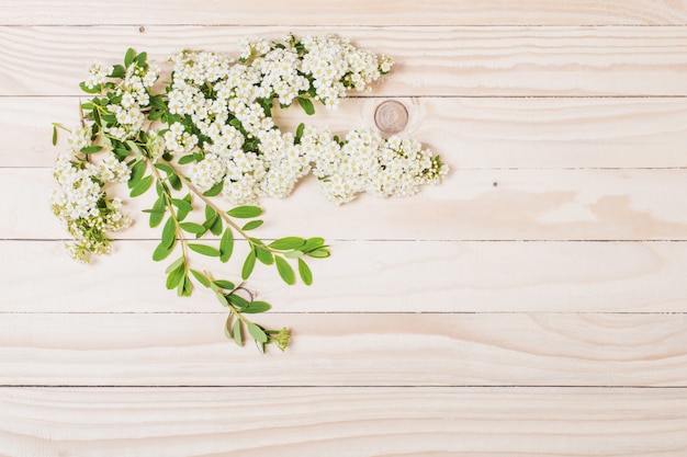 White summer flowers on wooden surface