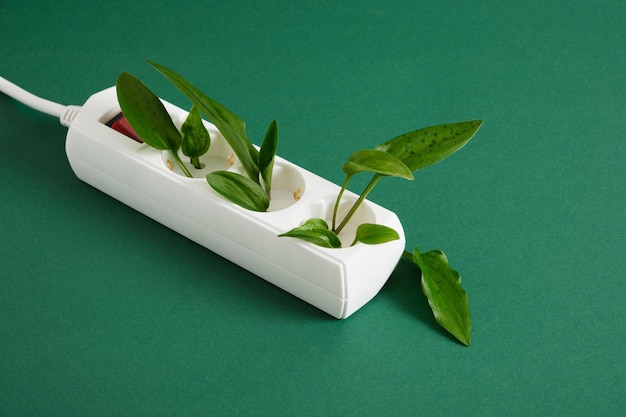 White surge protector with a red power button and green leaves of a plant on a green background