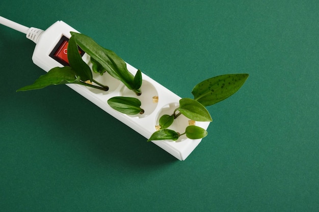 White surge protector with a red power button and green leaves of a plant on a green background