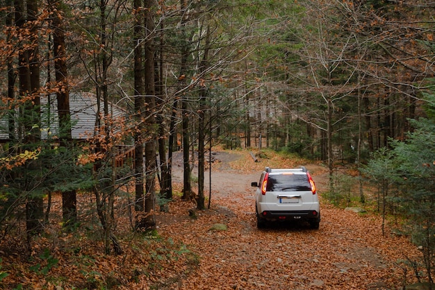 Photo white suv car in autumn forest gazebo bbq place copy space