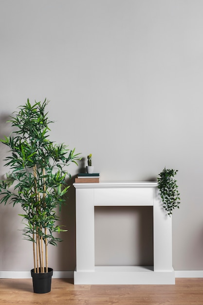 Photo white table with books and plants