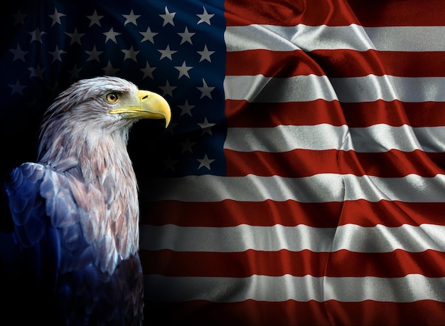 アメリカの国旗にオジロワシの肖像画