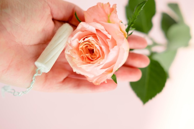 White tampon and pink rose in the hands of a girl closeup