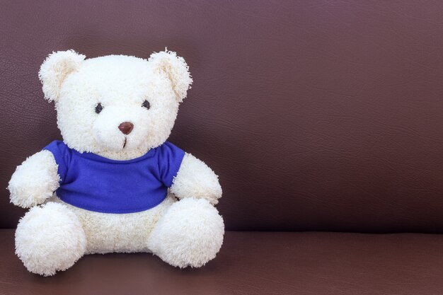 소파에 파란색 셔츠와 흰 곰