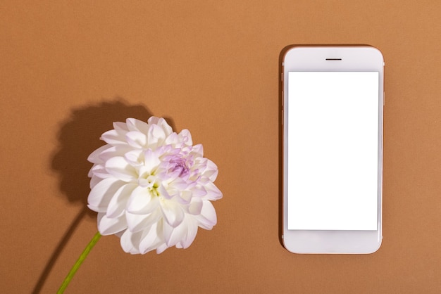 Белая нежность георгина и мобильный телефон с белым экраном крупным планом выстрелил мягкий цветочный фон