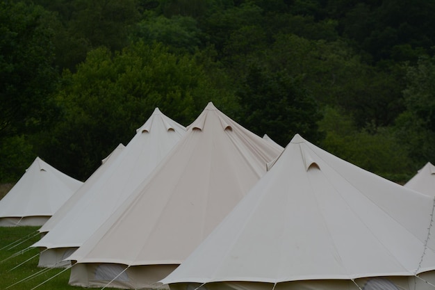 White tent against trees in forest