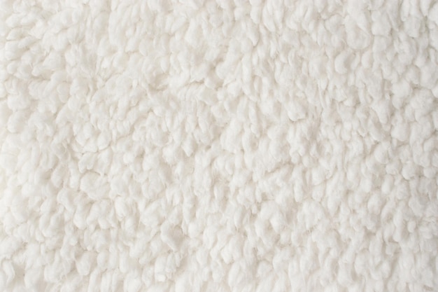 White textured sheep wool background