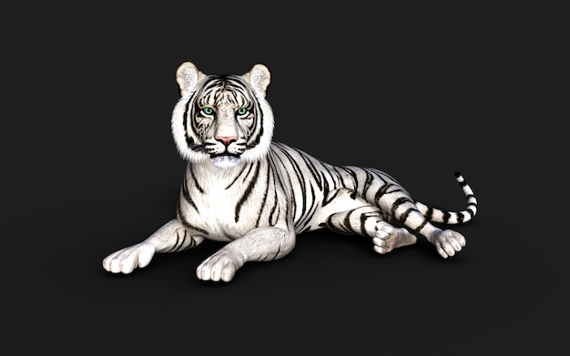 white tiger albino isolated on dark background with clipping path 3d illustration