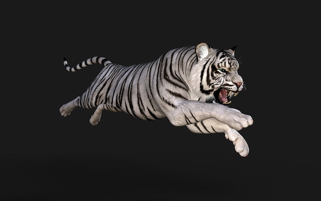 White Tiger Albino Isolated on Dark Background with Clipping Path 3d Illustration