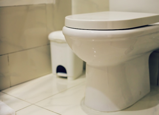 White toilet bowl. Home white flush toilet