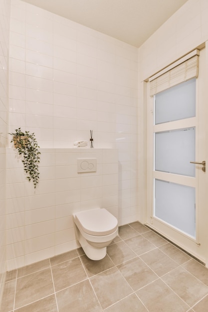 White toilet tub in a bright