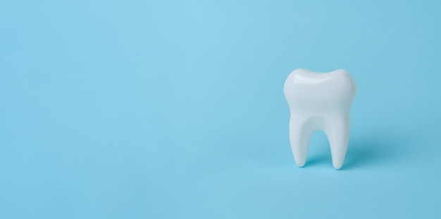 White tooth on blue background with copy space. Dental health concept. Dentist day