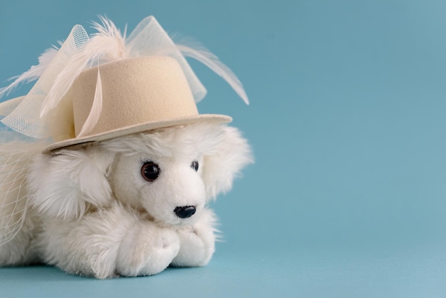 White toy dog on a blue background