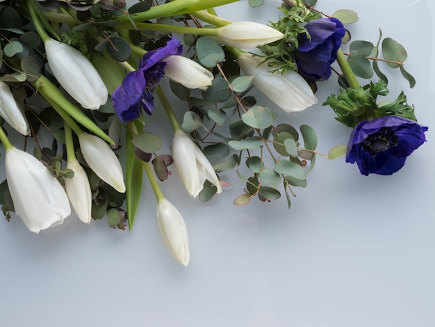 White tulips and blue anemones