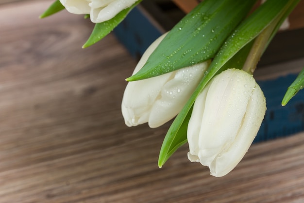 White  tulips close up on wooden table