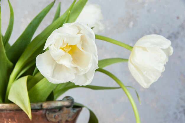 Tulipani bianchi in vecchio vaso di rame