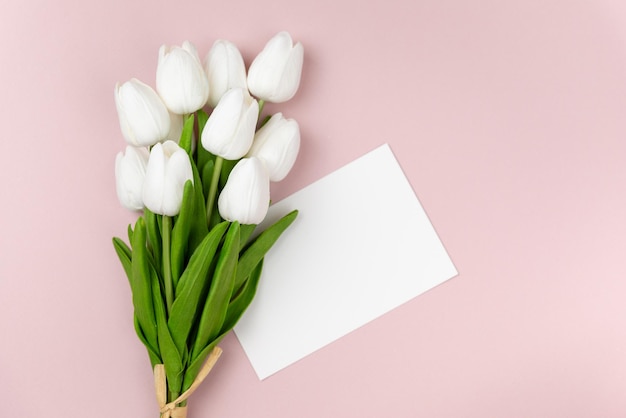 White tulips on a pink background