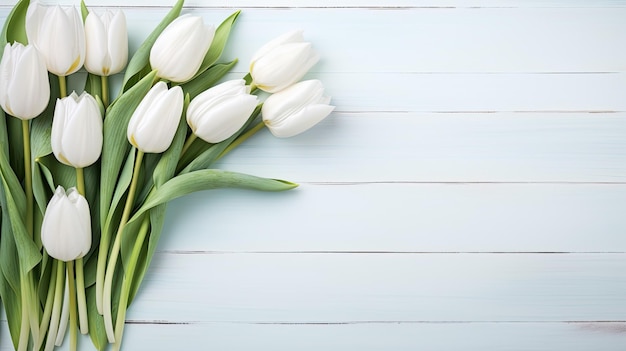 White tulips spring bouquet background