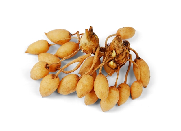 White turmeric isolated on a white background