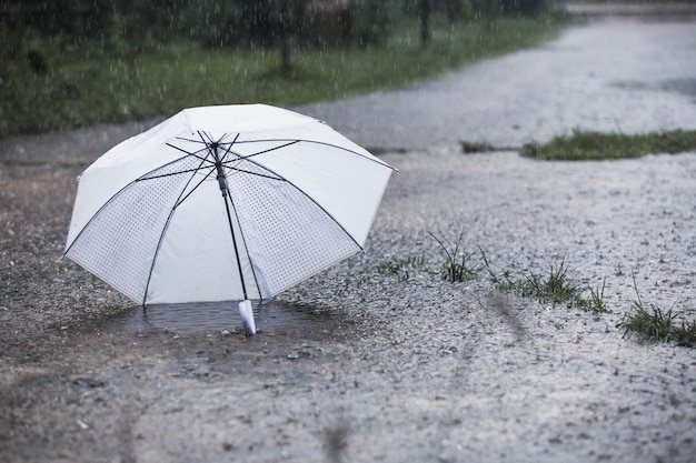 雨の中で白い傘