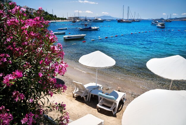 White Umbrellas on the Bodrum beach