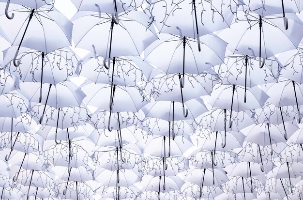 white umbrellas