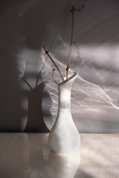 white vase with branch and chiaroscuro