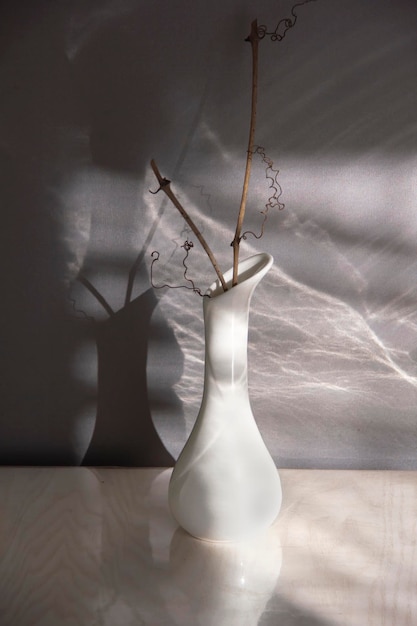 White vase with branch and chiaroscuro