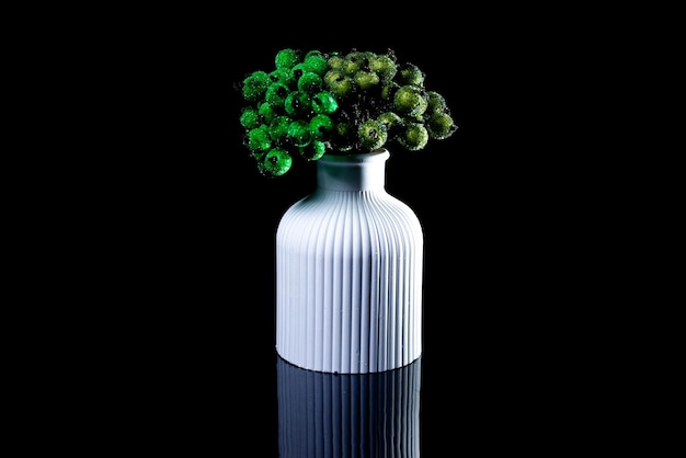 White vase with green berries in ice with reflection black background isolated