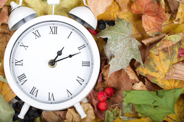 Foto orologio vintage bianco su foglie secche.