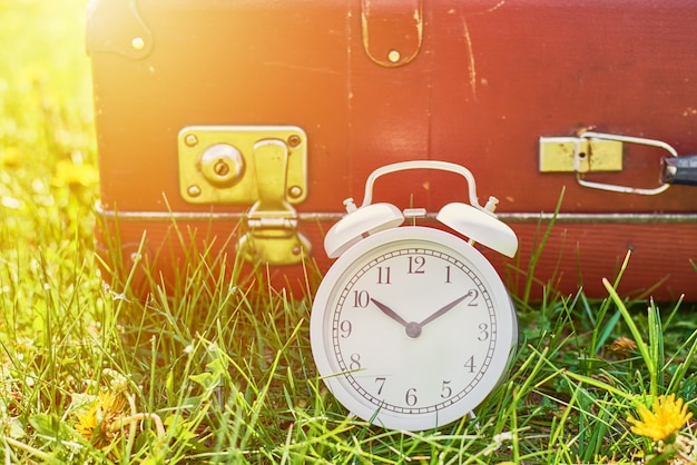 White vintage alarm clock in the grass with dandelion flowers