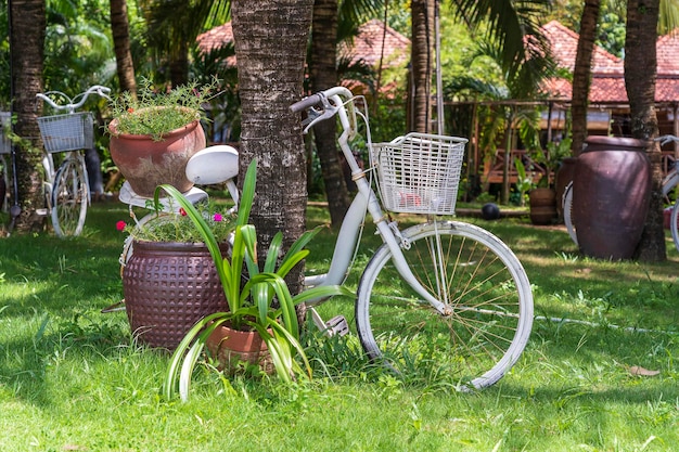 White vintage bike with basket of decorative plants in garden next to tropical beach on island Phu Quoc Vietnam Travel and nature concept