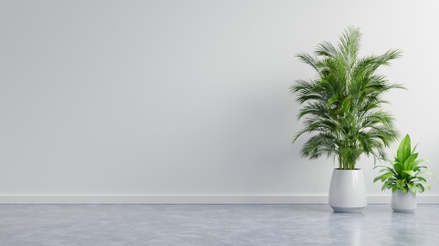 White wall empty room with plants on a floor.