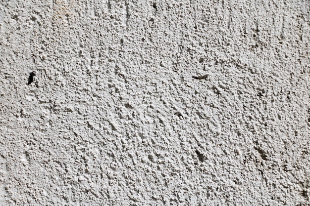 White wall texture with reliefs Closeup White background