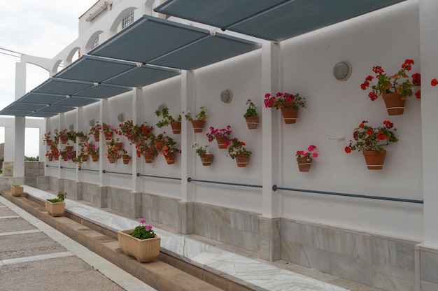 white wall with ornament pots