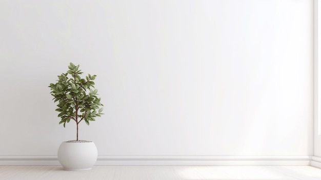 A white wall with a plant in it