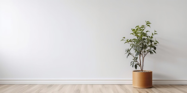 A white wall with a plant in a pot next to it