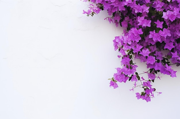 a white wall with purple flowers