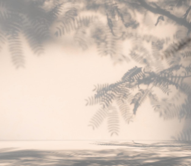 A white wall with a shadow of a fern on it and the word fern on it.