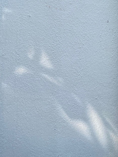 A white wall with a shadow of a tree and a light on it.