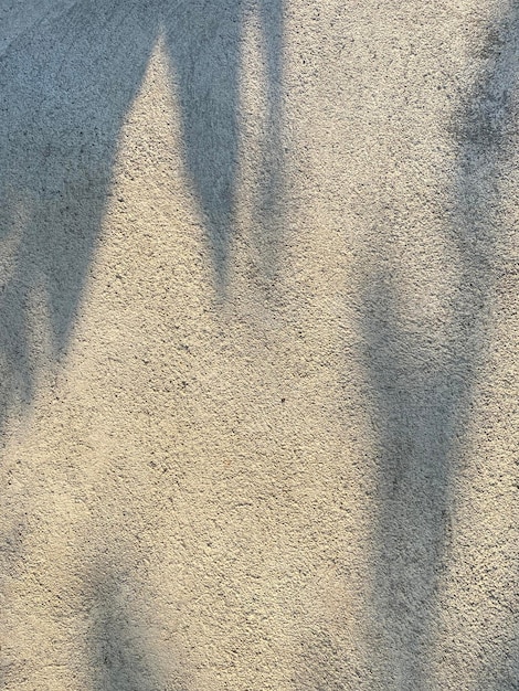 A white wall with shadows of a man and a woman on it.