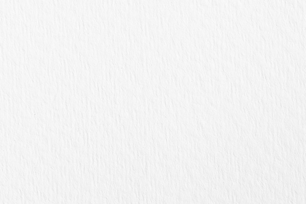 Photo white watercolor paper background texture. full frame