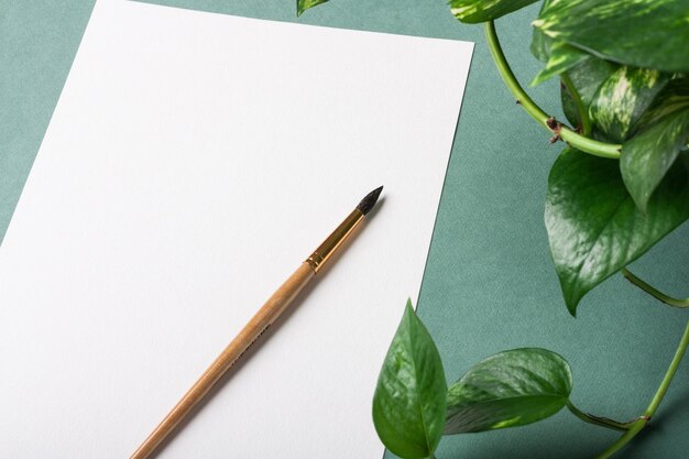 White watercolor paper on green background