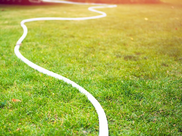 White watering hoses on a green lawn. Summer day. 